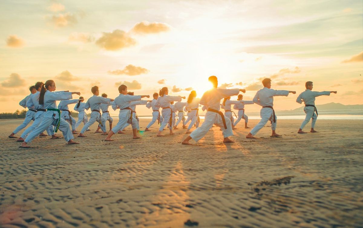 Heavyweight Karate Gi - Martial Arts by NTF